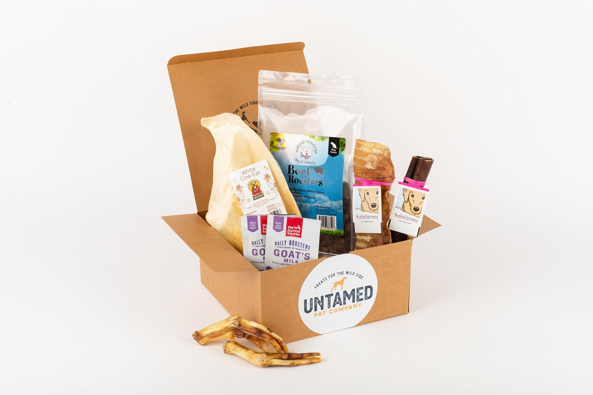 Macy's Picks (Medium Dog Box) Untamed Pet Co